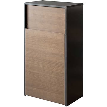 ダストボックス キャスター 45l 幅45 おしゃれ ゴミ箱 プッシュ扉式 キッチン収納 DB-F1100
