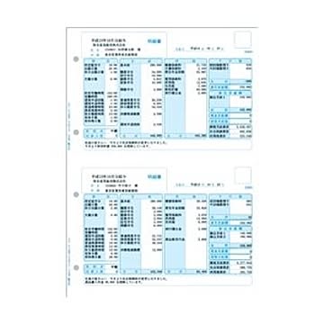 給与明細書ページプリンタ・インクジェットプリンタ兼用用紙