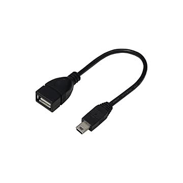 (まとめ)変換名人 USBケーブル20 A(メス) to mini(オス) USBAB/M5A20×10セット