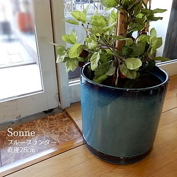 Sonne テラコッタポット／ブルー