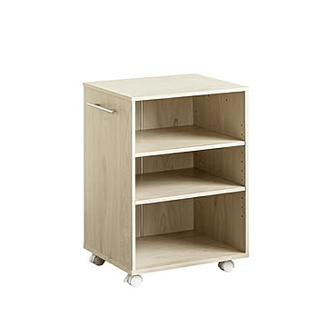 押入れ収納 ラック 組立式 IW-28 幅38x奥行45.2x高さ65cm 岩附