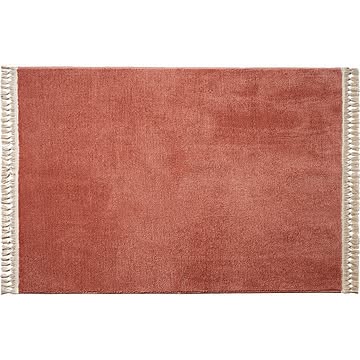 【BRID】 BICOLOR FRINGE RUG 90×130　バイカラー フリンジ ラグ