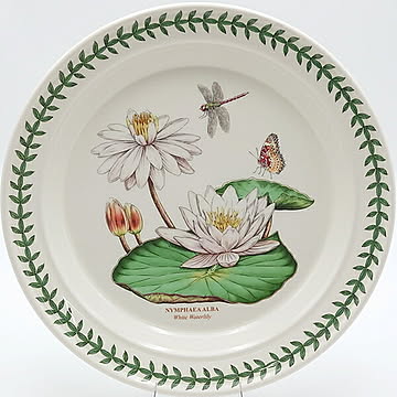ポートメリオン　エキゾチックボタニックガーデン　プレート25cm　EG05052【white water lily　スイレン】　洋食器　イギリス　ボタニック