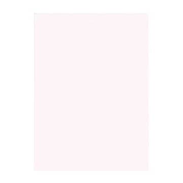 （まとめ） 文運堂 ニューカラーR 四ツ切 横392×縦542mm 4NCR-135 ピンク 100枚入 【×2セット】