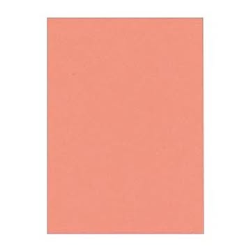（まとめ） 文運堂 ニューカラーR 四ツ切 横392×縦542mm 4NCR-127 サーモン 100枚入 【×2セット】