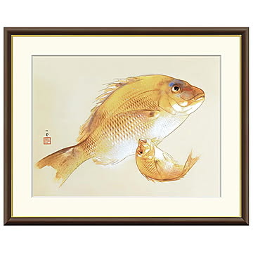 額絵 海幸 竹内栖鳳 42x34cm 三幸