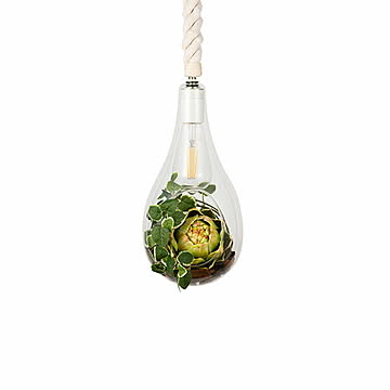 BOTANIC HANGING LIGHT with FAKEGREEN M ボタニックハンギングライト ウィズ フェイクグリーン (M) APE-021FG / LED付 ペンダントランプ 天井照明