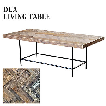 【送料無料】テーブル リビングテーブル センターテーブル ドゥア DUA LIVING TABLE シンプル モダン スチール mosh ガルト
