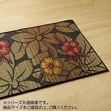 イケヒコ・コーポレーション い草 玄関マット Fなつこ 60×90cm ブラック