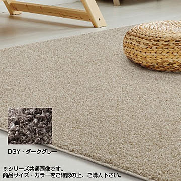 アスワン　PTT繊維カーペット　バルゴ　190×190cm　DGY・ダークグレー　CA617297