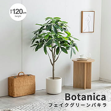 Botanica（ボタニカ） 光触媒 フェイクグリーン パキラ m13487