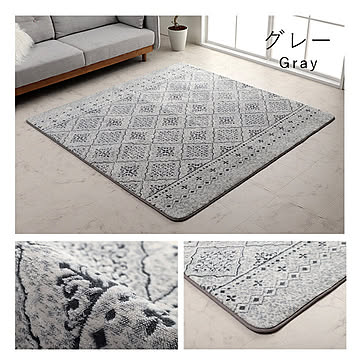 イケヒコ・コーポレーション ラグ サラ 200×240cm グレー 9800214