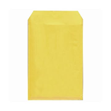 （まとめ） マルアイ ワンタッチセーフパックDVD・ビデオテープ用 内寸190×275mm SP-TM127 1パック（10枚） 【×5セット】