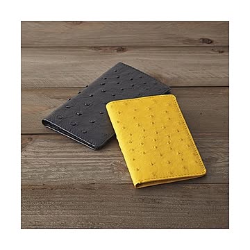 オーストリッチカードケース M81013040