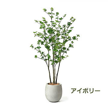 GREENPARK ドウダンツツジ エッグポット H160cm PRGR-1250 プリマ