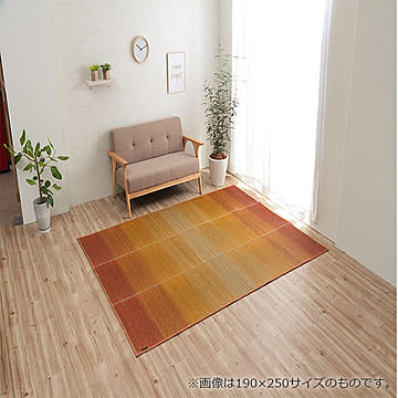 イケヒコ・コーポレーション い草ラグ ＮＣＸクリア オレンジ 126×190cm