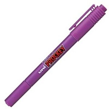 (業務用30セット) 三菱鉛筆 水性ペン/プロッキーツイン 細字/極細 水性顔料インク PM-120T.12 紫