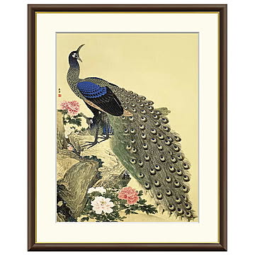 額絵 牡丹孔雀図 円山応挙 61x49.5cm 三幸