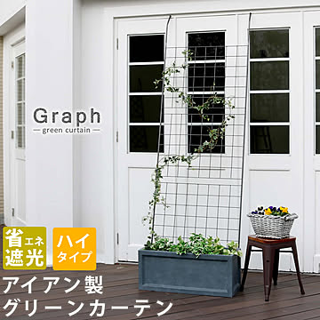 アイアン製グリーンカーテン グラフ【 フェンス アイアン グリーンカーテン ゴーヤ 薔薇 バラ 朝顔 庭 ベランダ ガーデニング 枠 柵 仕切り 目隠し 境目 アンティーク トレリス 園芸