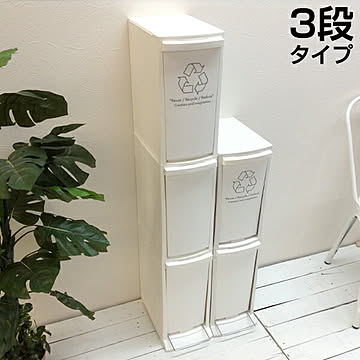 ゴミ箱 30L エコボックス 分別スリム すき間 ごみ箱 ダストBOX くずかご ダストボックス ごみばこ バケツ 資源ゴミ 屋外 北欧 インテリア 雑貨【東谷S】グランデ eco LFS-933