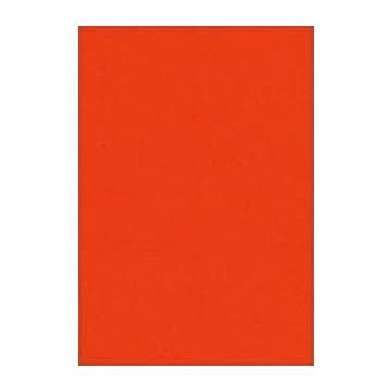 （まとめ） 文運堂 ニューカラーR 八ツ切 横271×縦392mm 8NCR-330 あかねいろ 100枚入 【×2セット】