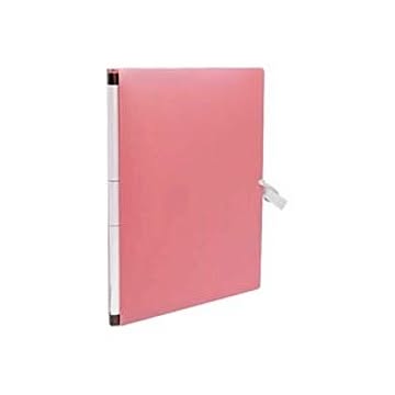 （まとめ）セキセイ のび〜るファイル AE-1250-21 ピンク【×10セット】