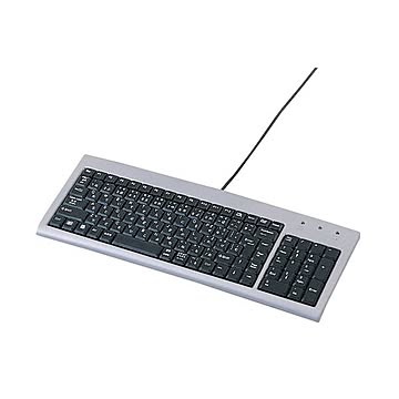 (まとめ)サンワサプライ スリムキーボード SKB-SL02U×2セット