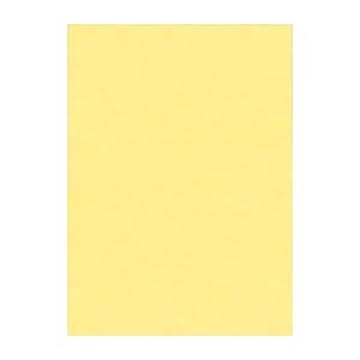 （まとめ） 文運堂 ニューカラーR 全判 横788×縦1091mm 10-101 クリーム 10枚入 【×2セット】