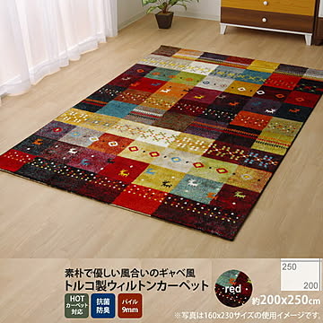 イケヒコ・コーポレーション フォリア ラグ 200×250cm レッド 2340319