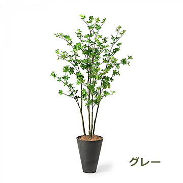 GREENPARK ドウダンツツジ GWプランター H165cm PRGR-1249 プリマ