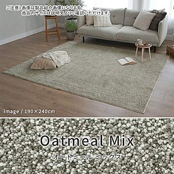 ラグ 洗える 抗菌 防臭 防ダニ NP-06  95x130cm エラーレ