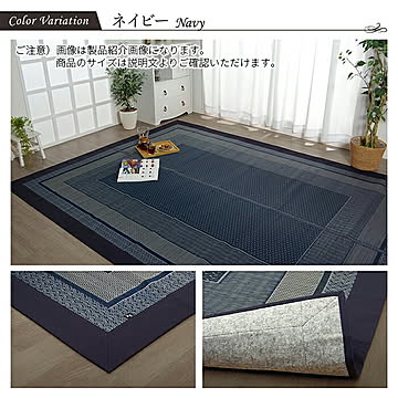 イケヒコ・コーポレーション い草ラグ 140×200cm ネイビー ＤＸランクス 8212650