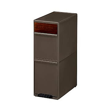 like-it ライクイット 分別スイングステーション ワイド 木目調パネル 2段 BWP-11BSWS 35L ゴミ箱 ダストボックス 分別 ペダル リサイクル