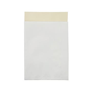 (まとめ) キングコーポレーションポストイン定形外片艶晒封筒 190421 1ケース（100枚）  【×5セット】