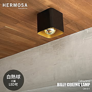 HERMOSA ハモサ BILLY CEILING LAMP ビリーシーリングランプ CM-011BK (白熱球付属)  シーリングライト 天井直付照明 玄関照明 階段照明 天井照明 LED対応