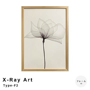 X-Ray Art Type-F2 アートポスター（フレーム付き） m13403
