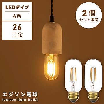 東谷 2個セット 電球 E26 4W LED エジソン電球 SSサイズ 電球のみ LED-1012