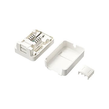 サンワサプライ カテゴリ6Aローゼットキット(マグネット付き) LA-RZ6A-1