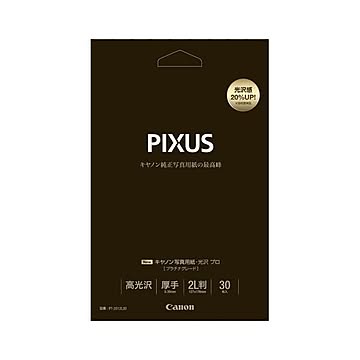 （業務用セット） キャノン Canon純正プリンタ用紙 写真用紙・光沢 プロ（プラチナグレード） PT-2012L30 30枚入 【×2セット】