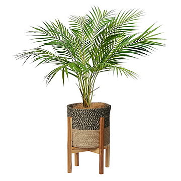 GREENPARK アレカヤシ ジュートポット 脚付 H90cm PRGR-1513W