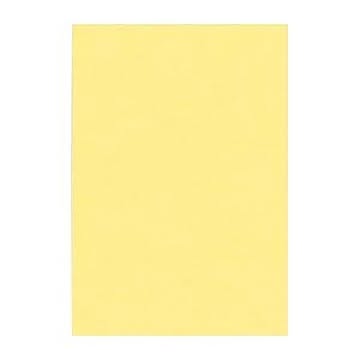 （まとめ） 文運堂 ニューカラーR 八ツ切 横271×縦392mm 8NCR-101 クリーム 100枚入 【×2セット】