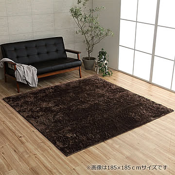 イケヒコ・コーポレーション ルフォン ラグ 200×250cm ブラウン 3986329