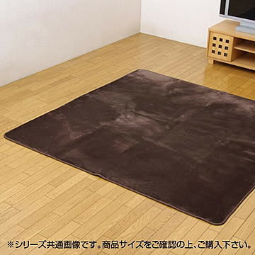 ブラウン 撥水加工カーペット 200×300