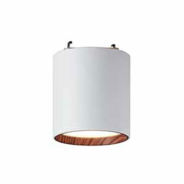 ARTWORKSTUDIO Grid PLUS-ceiling down light 1灯 ホワイト×ライトウッド