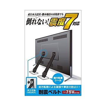 エレコム TV用耐震ベルト／〜75V用／ネジどめタイプ（VESA穴）／2本入 TS-006N