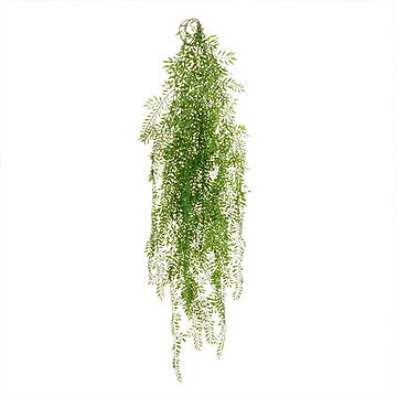 GREENPARK 丸葉シダ ハンギングプランツ eco PRGR-1581 プリマ 