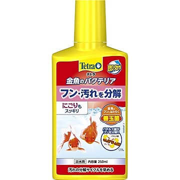 (まとめ）テトラ 金魚のバクテリア 250ml（ペット用品）【×6セット】