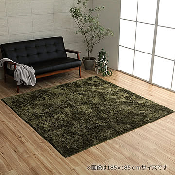イケヒコ・コーポレーション ルフォン ラグ 200×250cm グリーン 3986329
