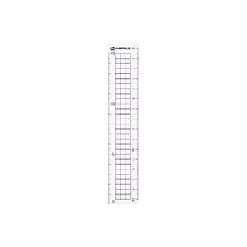（まとめ）ジョインテックス 再生PET直定規15cm*10本 B331J-10【×10セット】