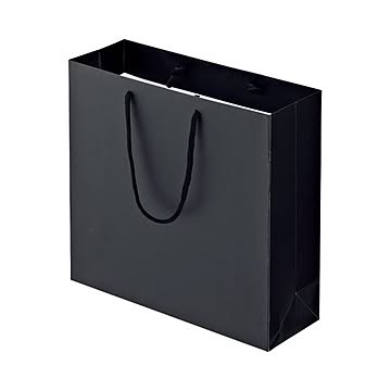 (まとめ) TANOSEE マットコート手提げ袋 M ヨコ320×タテ300×マチ幅110mm ブラック 1パック（10枚） 【×10セット】